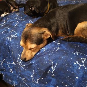 Meet your Posher, Jay